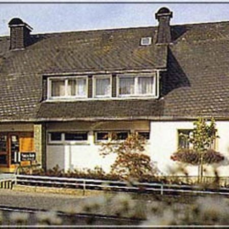 Pension Braun Winterberg Kültér fotó